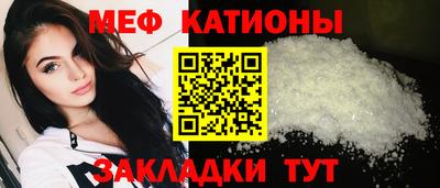 прущие грибы Краснодар