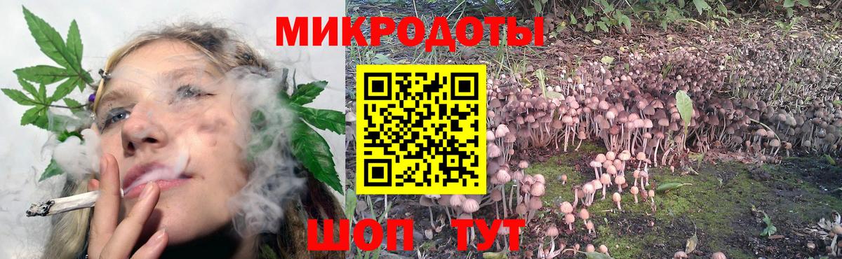 Галлюциногенные грибы мухоморы  Вход с VPN  Шали 